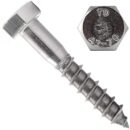 Hexagon screw DIN 571 - M8x70mm / A2 / pack of 100 pcs.